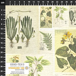 "Leaf, Nature, Plants, Writing & Text - Herbarium"